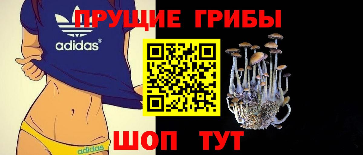 Тавда  Псилоцибиновые грибы Psilocybe  Вход с VPN 